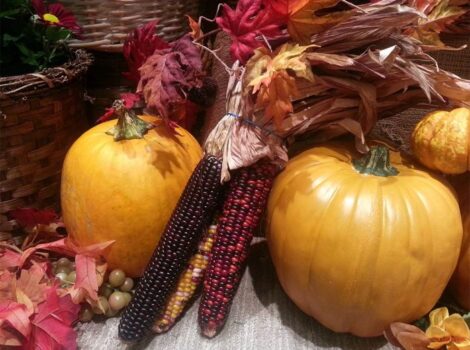 pumpkiins and harvest corn bundle