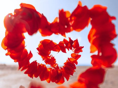 flower petals formed into a heart shape in front of a desert background