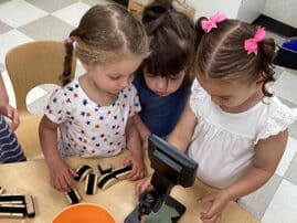 Three young girls look at a leaf through a microscope