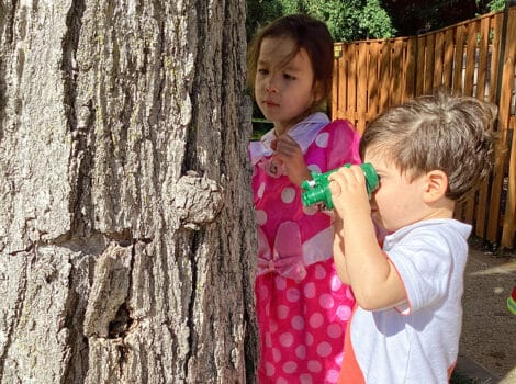 child using binoculars to look at a tree