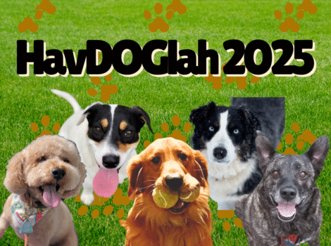 5 dogs on grass background, text overlay of HavDOGlah 2025